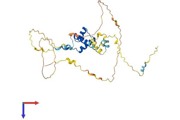 BARHL1 Protein (AA 1-327) (His tag)