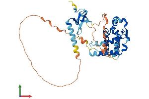Protein Structure (PS) image for Mortality Factor 4 Like 1 (MORF4L1) (AA 1-362) protein (His tag) (ABIN7563489)