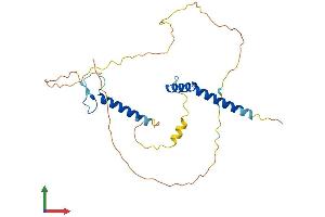 Protein Structure (PS) image for Regulatory Factor X-Associated Protein (RFXAP) (AA 1-272) protein (His tag) (ABIN7551346)