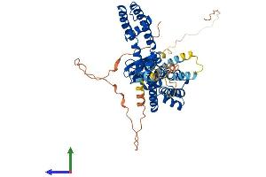 Protein Structure (PS) image for Potassium Voltage-Gated Channel, Shaker-Related Subfamily, Member 2 (KCNA2) (AA 1-499) protein (His tag) (ABIN7563503)