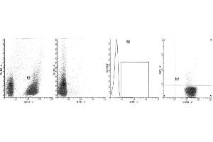 Image no. 1 for anti-Interleukin 10 (IL10) antibody (FITC) (ABIN1107780) (IL-10 Antikörper  (FITC))