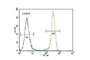 Flow Cytometry (FACS) image for anti-Cadherin 1, Type 1, E-Cadherin (Epithelial) (CDH1) (AA 833-862), (C-Term) antibody (ABIN5534949)