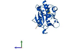 AlphaFold protein structure predicition of Mouse Recombinant Ntaq1 Protein, UniprotID Q80WB5
