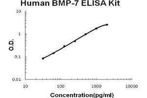 Human BMP-7 PicoKine ELISA Kit standard curve (BMP7 ELISA Kit)