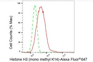 Flow cytometric analysis of Histone H3 (mono methyl K14) expression in C2C12 cells using Histone H3 (mono methyl K14) antibody (ABIN7798958), 1:2,000). (Rekombinanter Histone 3 Antikörper  (H3K14me1))