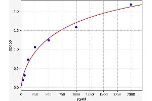 CEBPD ELISA Kit