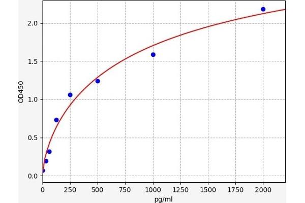 CEBPD ELISA Kit