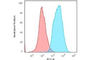 Flow Cytometric Analysis of human HeLa cells. (KRT Antikörper)