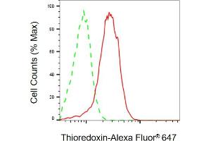 anti-Thioredoxin (TXN) antibody