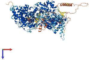 PHKA1 Protein (AA 1-1223) (His tag)