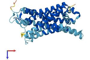 OR51B4 Protein (AA 1-310) (His tag)