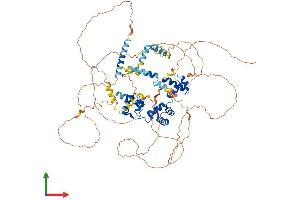 Protein Structure (PS) image for Myb-Like Protein 1 (MYBL1) (AA 1-751) protein (His tag) (ABIN7563411)