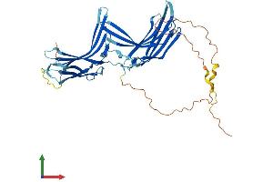 Protein Structure (PS) image for Thioredoxin Interacting Protein (TXNIP) (AA 1-391) protein (His tag) (ABIN7555882)