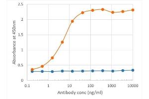 Binding curve of anti-PDL2 antibody TY25 (ABIN7072432) to mouse PDL2-Fc fusion protein ELISA Plate coated with mouse PDL2-Fc fusion protein (Pr00156-1. (Rekombinanter PDCD1LG2 Antikörper)