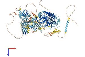 PNPLA6 Protein (AA 1-1355) (His tag)