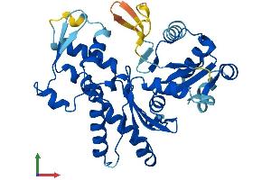 Protein Structure (PS) image for Actin-Like 10 (ACTL10) (AA 1-346) protein (His tag) (ABIN7561929)