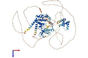 NEK4 Protein (AA 1-792) (His tag)