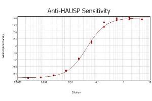 ELISA results of purified Rabbit anti-HAUSP antibody tested against BSA-conjugated peptide of immunizing peptide. (USP7 Antikörper  (N-Term))