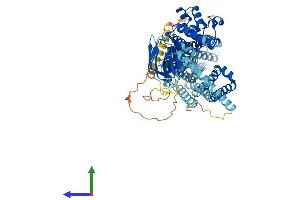 AlphaFold protein structure predicition of Mouse Recombinant Abcd1 Protein, UniprotID P48410