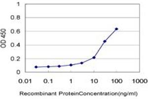 Detection limit for recombinant GST tagged ZFP36L1 is approximately 1ng/ml as a capture antibody. (ZFP36L1 Antikörper  (AA 1-108))