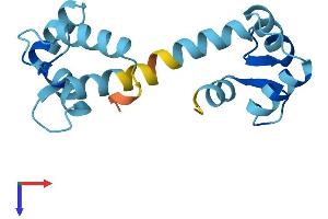 CALML3 Protein (AA 1-149) (His tag)