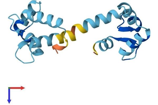 CALML3 Protein (AA 1-149) (His tag)