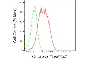 Flow cytometric analysis of p21 expression in HT- cells using p21 antibody (ABIN7798222), 1:2,000). (Rekombinanter p21 Antikörper)
