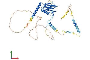 AlphaFold protein structure predicition of Mouse Recombinant Rbm48 Protein, UniprotID Q8K2X2 (C7orf64 Protein (AA 1-371) (His tag))