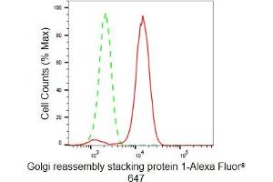 Flow cytometric analysis of Golgi reassembly stacking protein 1 expression in HeLa cells using Golgi reassembly stacking protein 1 antibody (ABIN7798795), 1:2,000). (Rekombinanter GORASP1 Antikörper)