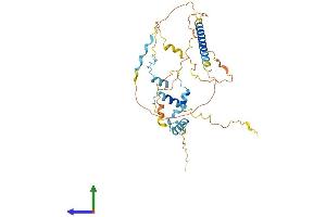 Protein Structure (PS) image for Family with Sequence Similarity 54, Member A (FAM54A) (AA 1-361) protein (His tag) (ABIN7559904)