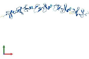 Protein Structure (PS) image for Four and A Half LIM Domains 2 (FHL2) (AA 1-279) protein (His tag) (ABIN7547663)