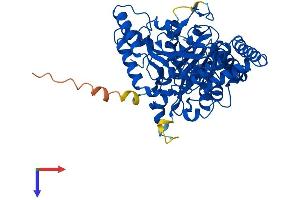 QRSL1 Protein (AA 1-528) (His tag)