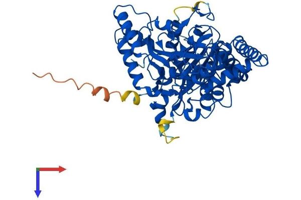 QRSL1 Protein (AA 1-528) (His tag)