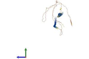 AlphaFold protein structure predicition of Mouse Recombinant Krt6b Protein, UniprotID Q9Z331 (Keratin 6B Protein (KRT6B) (AA 1-562) (His tag))