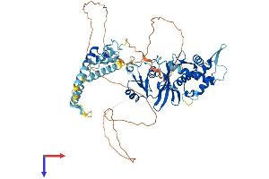 MYST2 Protein (AA 1-611) (His tag)