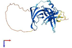 AlphaFold protein structure predicition of Human Recombinant SPIN4 Protein, UniprotID Q56A73