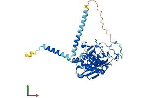 Protein Structure (PS) image for UDP-Gal:betaGlcNAc beta 1,4-Galactosyltransferase, Polypeptide 6 (B4GALT6) (AA 1-382) protein (His tag) (ABIN7556325)
