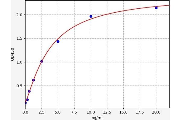 Ataxin 1 ELISA Kit