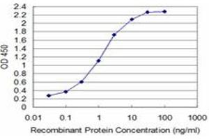 Detection limit for recombinant GST tagged T is approximately 0. (T Brachyury Protein (AA 222-320) Antikörper)
