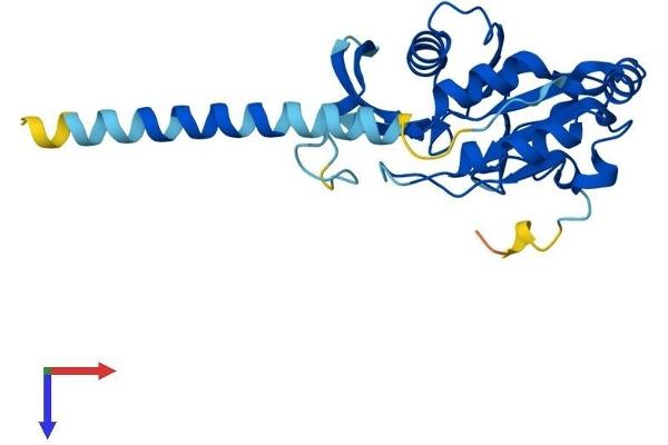 CTDNEP1A Protein (AA 1-244) (His tag)