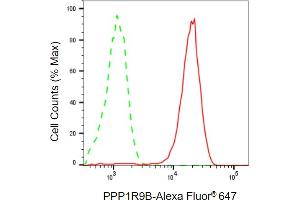 Flow cytometric analysis of PPP1R9B expression in HepG2 cells using PPP1R9B antibody (ABIN7800020), 1:2,000). (PPP1R9B Antikörper)