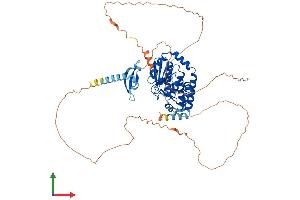 Protein Structure (PS) image for Chromodomain Protein, Y-Like (CDYL) (AA 1-593) protein (His tag) (ABIN7565201)