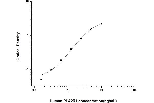 PLA2R1 ELISA Kit