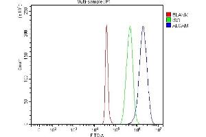 Flow Cytometry analysis of SH-SY5Y cells using anti-CD166/ALCAM antibody (ABIN5518801).