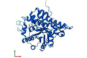 Protein Structure (PS) image for Hydroxyacid Oxidase (Glycolate Oxidase) 1 (HAO1) (AA 1-370) protein (His tag) (ABIN7556262)