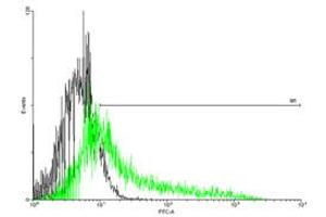 Flow Cytometry (FACS) image for anti-Interleukin 1 Receptor, Type I (IL1R1) (AA 1-569) antibody (ABIN517000)