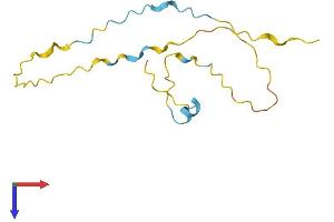 AlphaFold protein structure predicition of Mouse Recombinant Fam229a Protein, UniprotID B2KGE5
