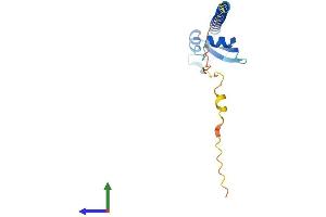 Protein Structure (PS) image for Oocyte Expressed Protein (OOEP) (AA 1-164) protein (His tag) (ABIN7560661)
