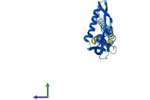 AlphaFold protein structure predicition of Human Recombinant KCNMB4 Protein, UniprotID Q86W47