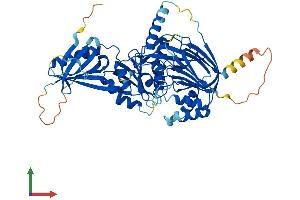 Protein Structure (PS) image for Ceramide Kinase (CERK) (AA 1-531) protein (His tag) (ABIN7559581)